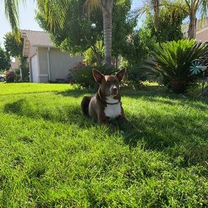 Meet your Posher, Roberto